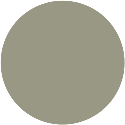 011 DZ 02