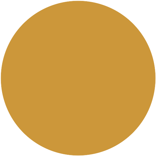 1010