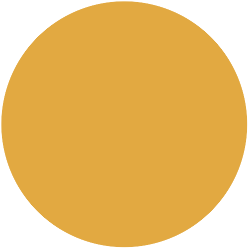 10201