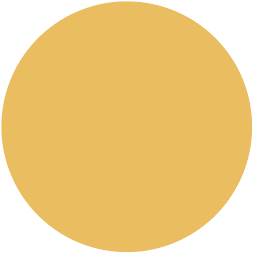 10202
