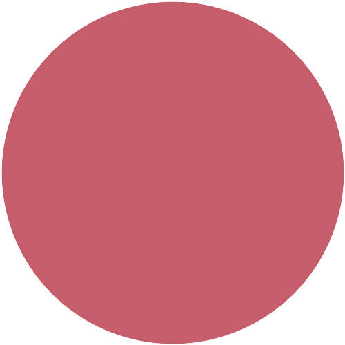 1165-R04B 017 52 49 (NR 30.21.21)