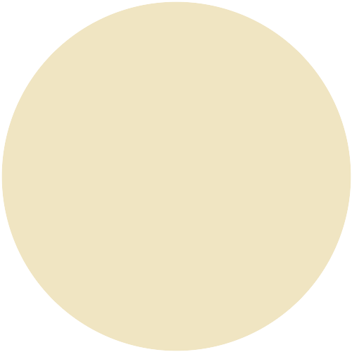 1198 0612-Y
