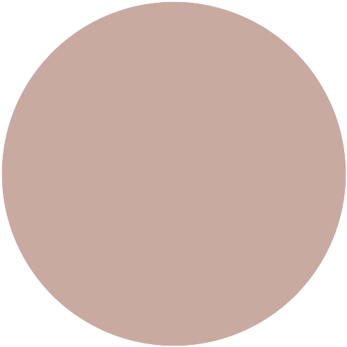 12058