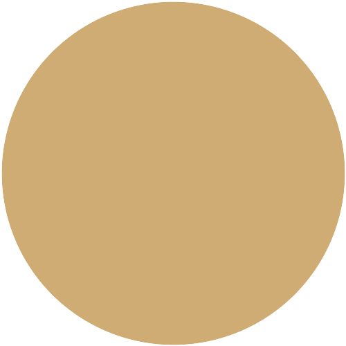 124 DZ 21