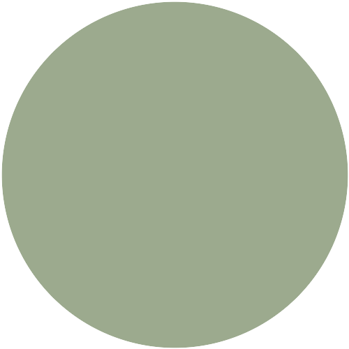 14172  NCS 2719-G31Y