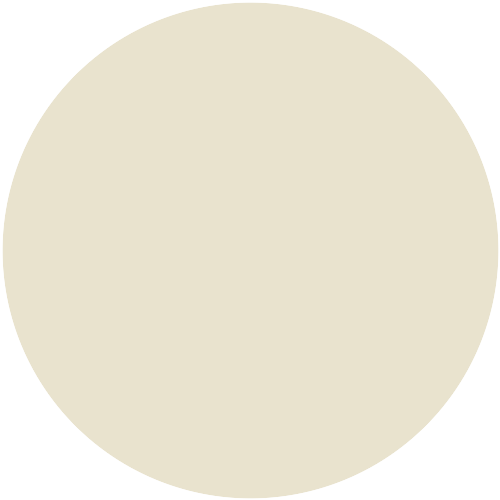 14206  NCS 0706-Y08R