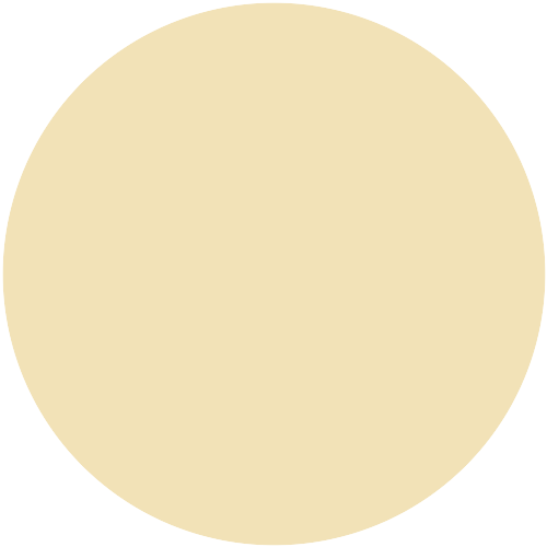 20205  NCS 0616-Y08R