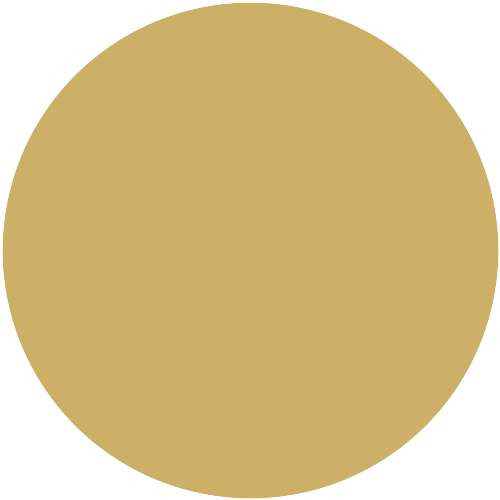 20209  NCS 2038-Y03R
