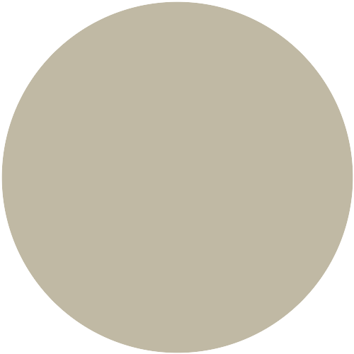20321  NCS 2408-Y