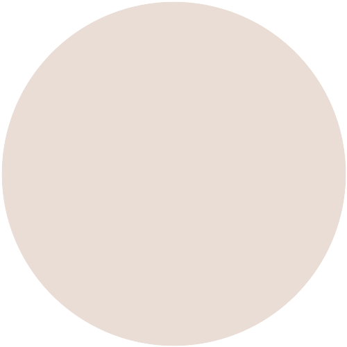 20807  NCS 0805-Y73R