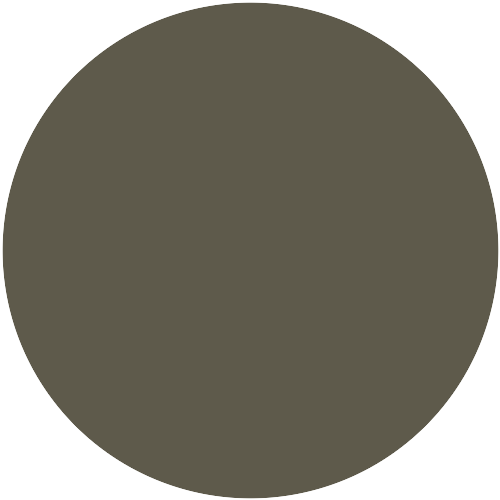21017  NCS 6810-G83Y