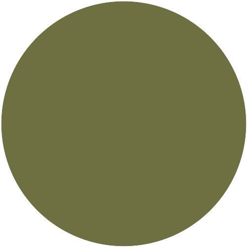 21100  NCS 4838-G57Y