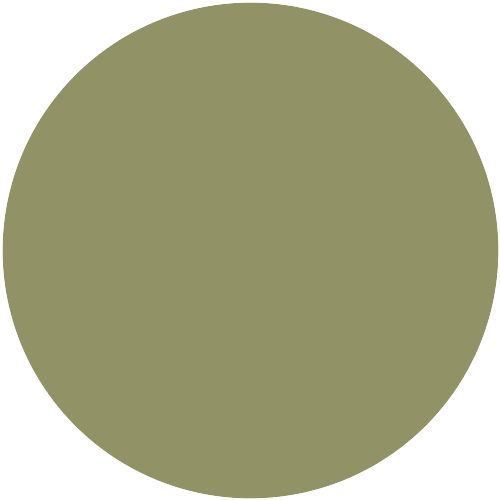 21109  NCS 3626-G65Y