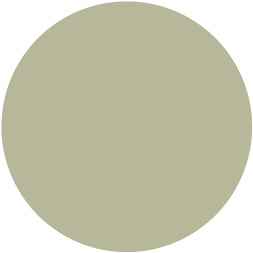 21111  NCS 2313-G71Y