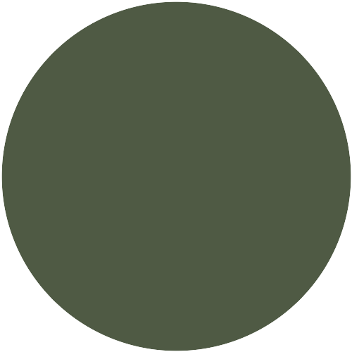 21215  NCS 6321-G34Y
