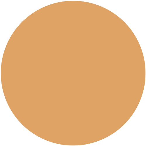 Brillux 2221 1644-Y25R