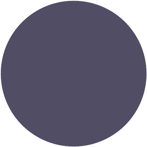 RAL 290 30 20