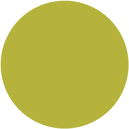 Sto 31100