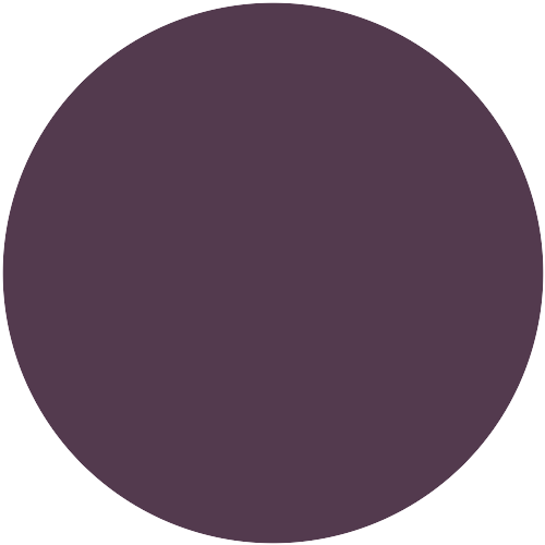 RAL 330 20 25