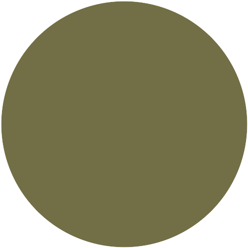 Farbton 348