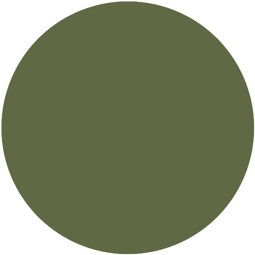 Farbton 480