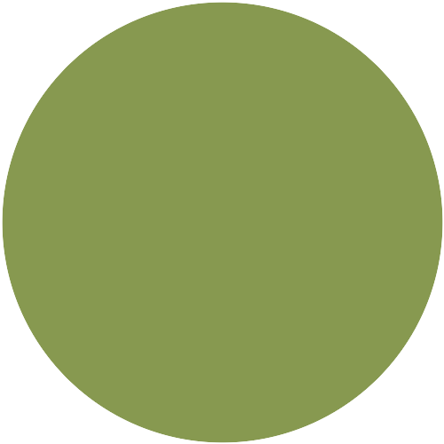 Farbton 61-35