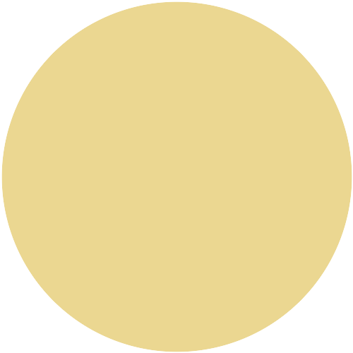 Farbton 646