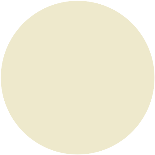 Sto 8008