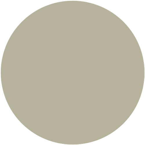 Sto 8036