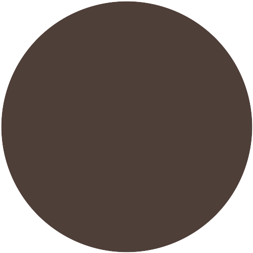 Brillux 8101 Dunkelbraun