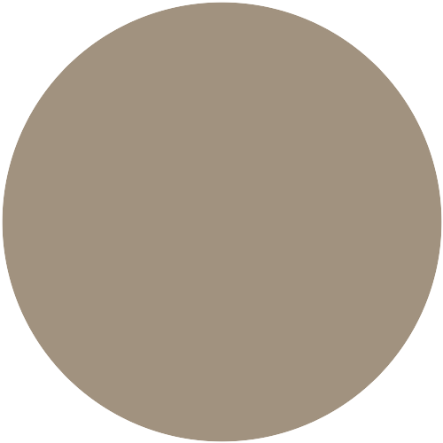 Brillux 8238 4008-Y21R