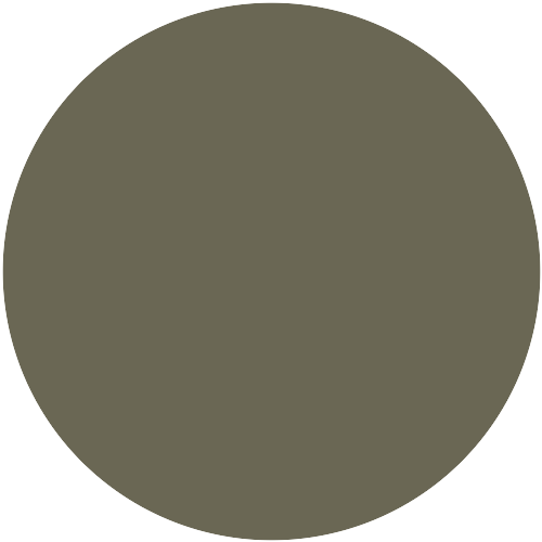 Burnt Olive