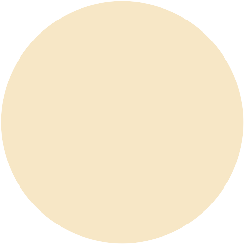 Farbton Camel 31.066