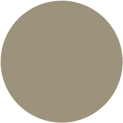 Camel 59.070