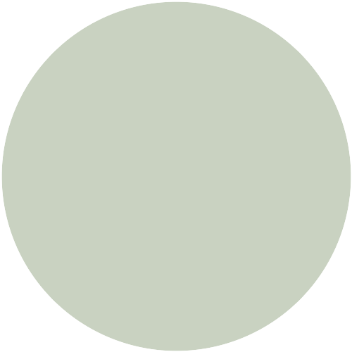 Caparol Icons No 72 Benjamin