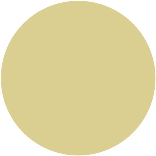 Caparol Icons No 89 Funky