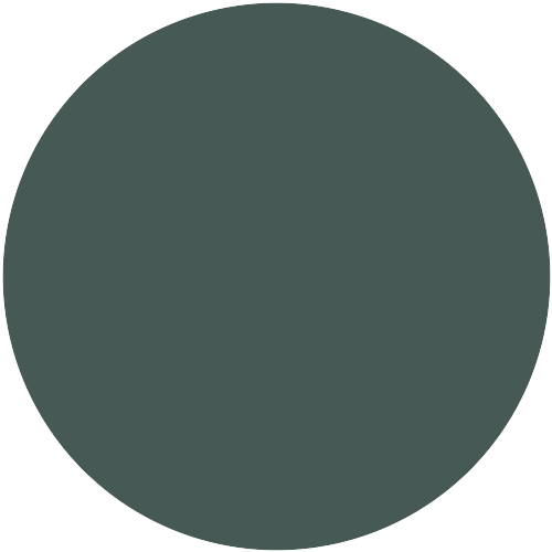 Caparol Icons No T02 Fjord