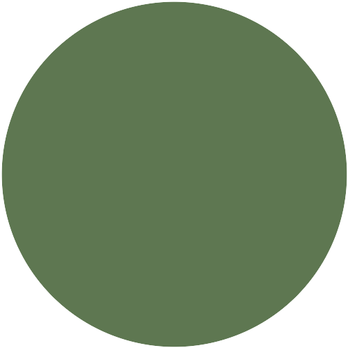 Brillux Chromoxidgrn 6208