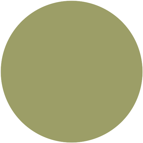 Farbton H1.29.58 (5051)
