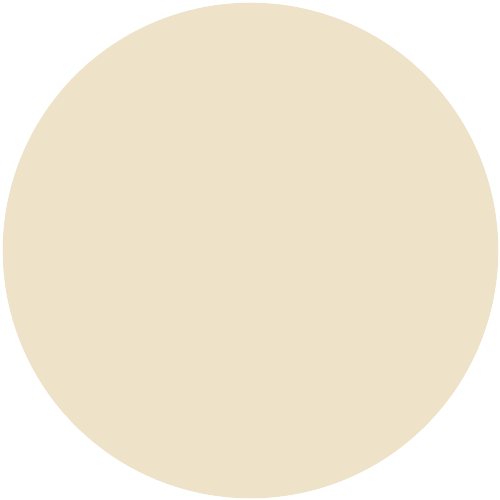 House White (05)