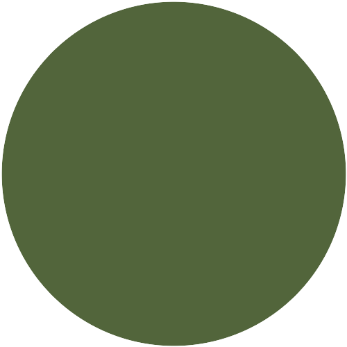 J3.40.31 (5051)
