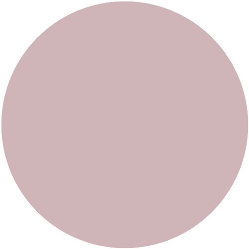Brillux Kastanie 8015 ST.7