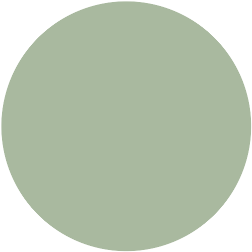 Farbton Kiefer 1 K 5