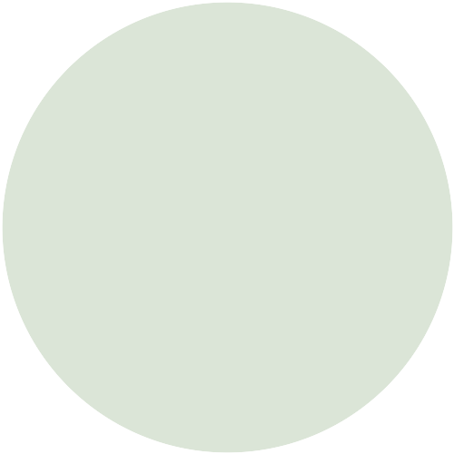 Kiwi 7380