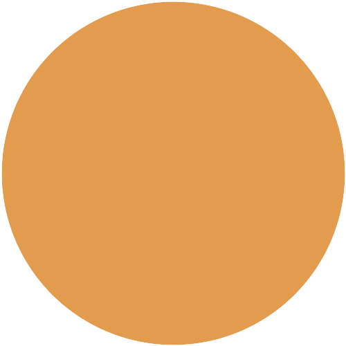 Mango 42