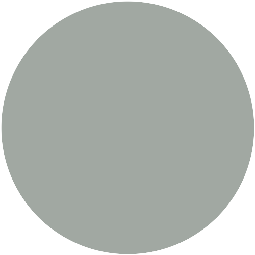 Caparol Mint 10