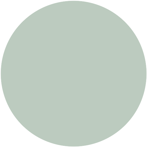 Caparol Mint 55