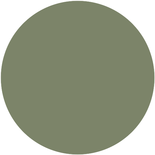 Caparol Moos 65