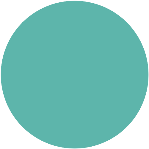 Farbton N5.28.62 (5051)