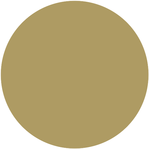 Olive 372